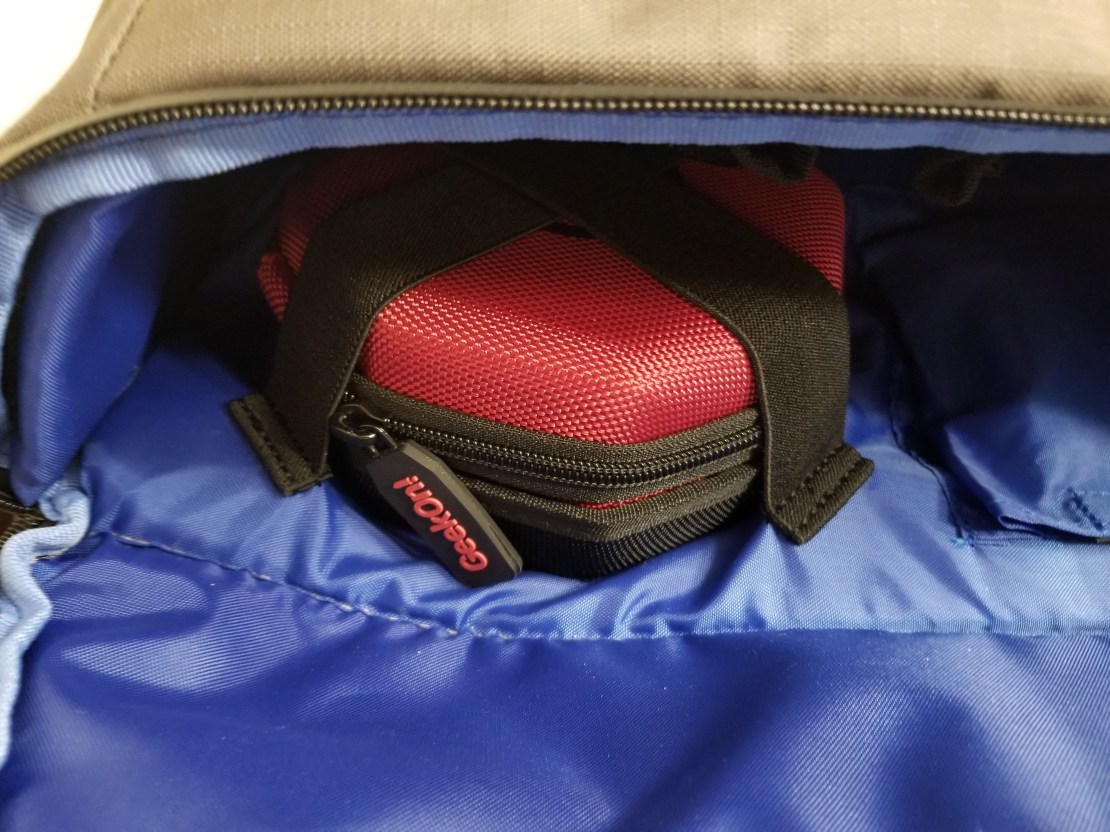 dice case in straps.jpg